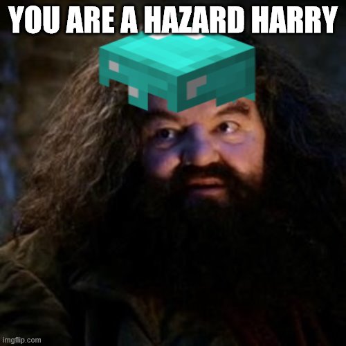 YOU ARE A HAZARD HARRY | image tagged in hagrid | made w/ Imgflip meme maker