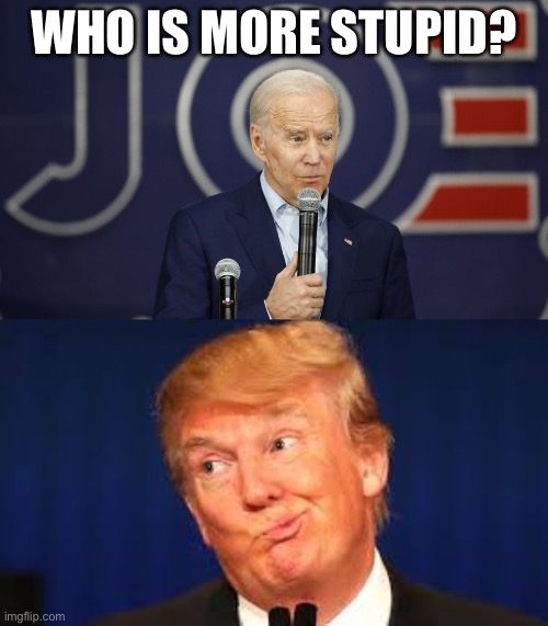 I don’t even get how candidates like them get any votes | WHO IS MORE STUPID? | image tagged in stupid trump,joe biden stupidity | made w/ Imgflip meme maker