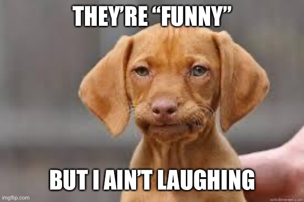 Be careful in selecting the target of your humor. How will your jokes look in 100 years? | THEY’RE “FUNNY”; BUT I AIN’T LAUGHING | image tagged in disappointed dog,political humor,propaganda,jokes,politics lol,humor | made w/ Imgflip meme maker