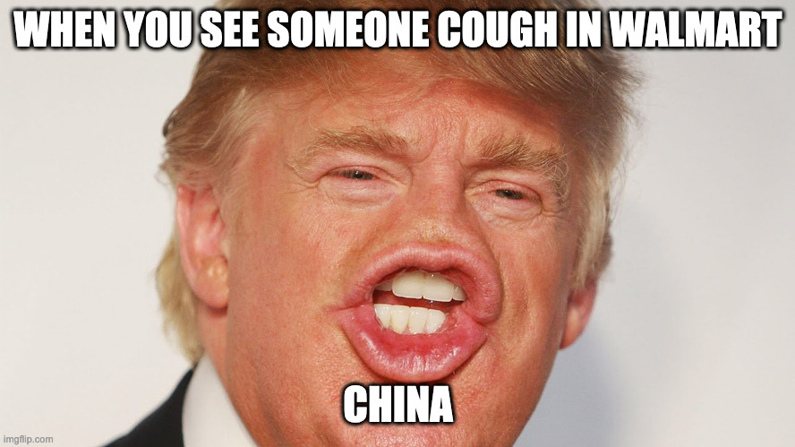 china | WHEN YOU SEE SOMEONE COUGH IN WALMART; CHINA | image tagged in donald trump china | made w/ Imgflip meme maker