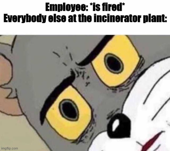 incinerator | Employee: *is fired*
Everybody else at the incinerator plant: | image tagged in tom cat unsettled close up | made w/ Imgflip meme maker
