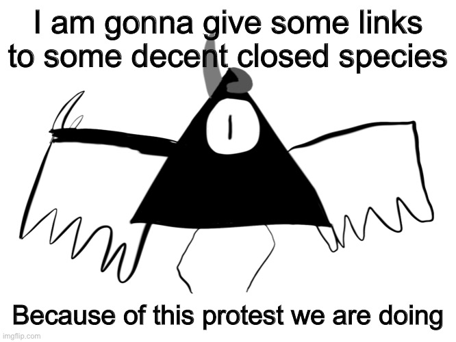 A | I am gonna give some links to some decent closed species; Because of this protest we are doing | image tagged in dumb triangle named akira | made w/ Imgflip meme maker