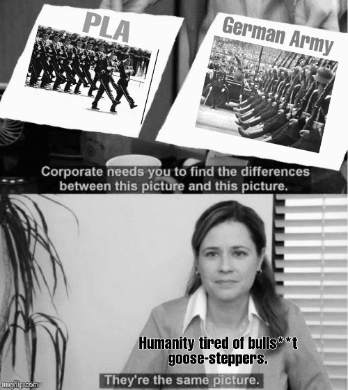 Goose-step the Night Away | image tagged in pla,nazi germany,goosebumps,tired,goose armies | made w/ Imgflip meme maker