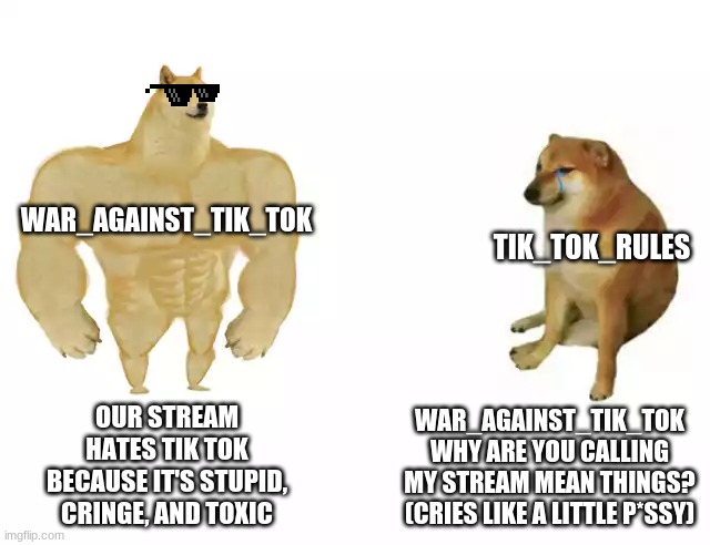 spike was here | WAR_AGAINST_TIK_TOK; TIK_TOK_RULES; OUR STREAM HATES TIK TOK BECAUSE IT'S STUPID, CRINGE, AND TOXIC; WAR_AGAINST_TIK_TOK WHY ARE YOU CALLING MY STREAM MEAN THINGS? (CRIES LIKE A LITTLE P*SSY) | image tagged in buff doge vs cheems,tik tok | made w/ Imgflip meme maker