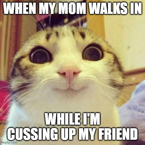 When my mom walks in | WHEN MY MOM WALKS IN; WHILE I'M CUSSING UP MY FRIEND | image tagged in memes,smiling cat | made w/ Imgflip meme maker
