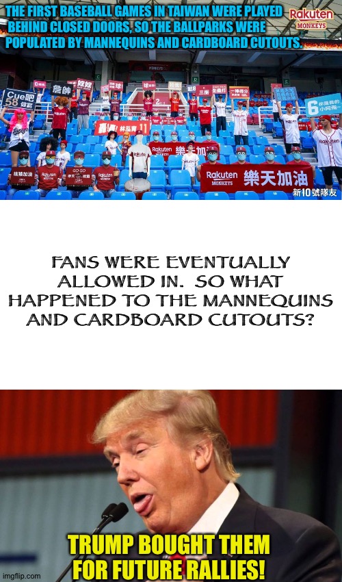 Just in case the crowd...you know... | THE FIRST BASEBALL GAMES IN TAIWAN WERE PLAYED

 BEHIND CLOSED DOORS, SO THE BALLPARKS WERE 

POPULATED BY MANNEQUINS AND CARDBOARD CUTOUTS. FANS WERE EVENTUALLY ALLOWED IN.  SO WHAT HAPPENED TO THE MANNEQUINS AND CARDBOARD CUTOUTS? TRUMP BOUGHT THEM FOR FUTURE RALLIES! | image tagged in stupid trump,starter pack | made w/ Imgflip meme maker