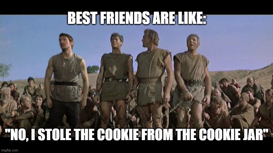 I am Spartacus |  BEST FRIENDS ARE LIKE:; "NO, I STOLE THE COOKIE FROM THE COOKIE JAR" | image tagged in i am spartacus | made w/ Imgflip meme maker