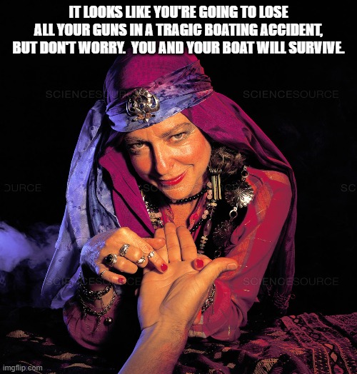 If November 3rd goes wrong...lol | IT LOOKS LIKE YOU'RE GOING TO LOSE ALL YOUR GUNS IN A TRAGIC BOATING ACCIDENT, BUT DON'T WORRY.  YOU AND YOUR BOAT WILL SURVIVE. | image tagged in palm reader,gun control,politics,political meme,2020 | made w/ Imgflip meme maker