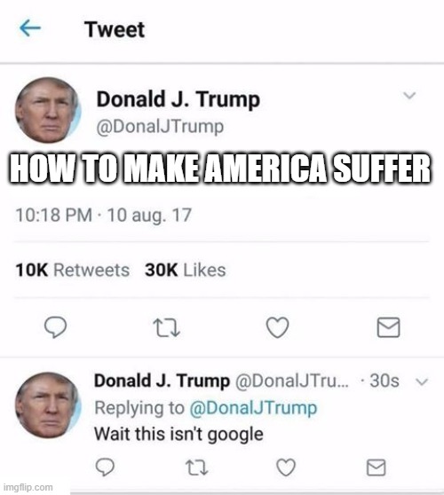 Trump Twitter | HOW TO MAKE AMERICA SUFFER | image tagged in trump twitter | made w/ Imgflip meme maker