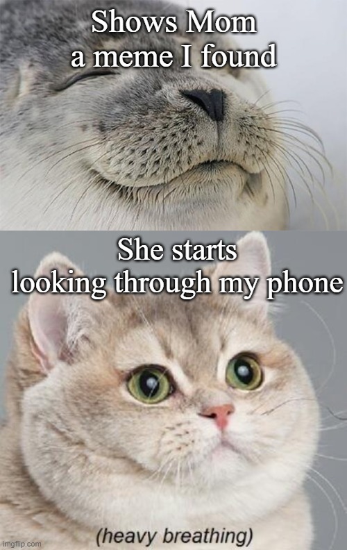 Shows Mom a meme I found; She starts looking through my phone | image tagged in memes,heavy breathing cat,satisfied seal | made w/ Imgflip meme maker