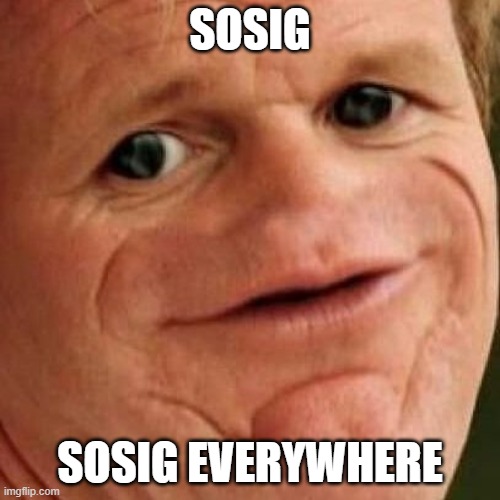 Sosig, Sosig everywhere | SOSIG; SOSIG EVERYWHERE | image tagged in sosig,memes | made w/ Imgflip meme maker