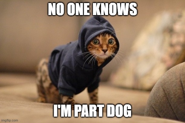 Hoody Cat Meme | NO ONE KNOWS; I'M PART DOG | image tagged in memes,hoody cat | made w/ Imgflip meme maker