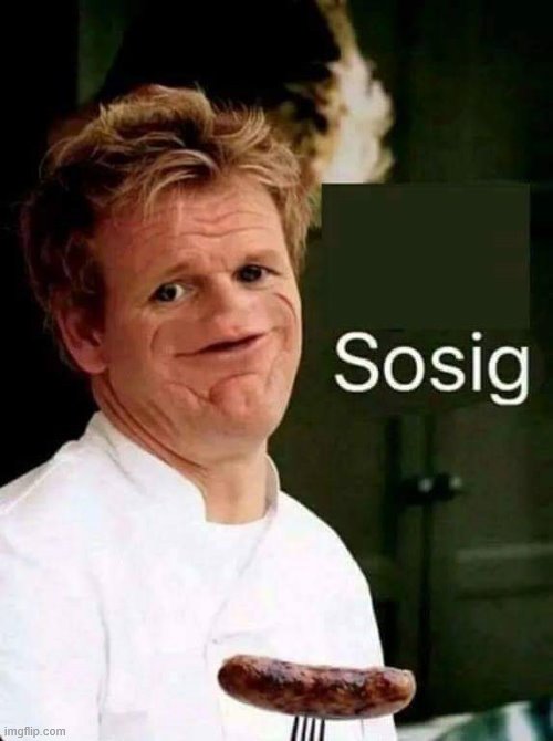 Sosig | image tagged in sosig | made w/ Imgflip meme maker