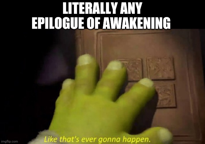 LITERALLY ANY EPILOGUE OF AWAKENING | made w/ Imgflip meme maker