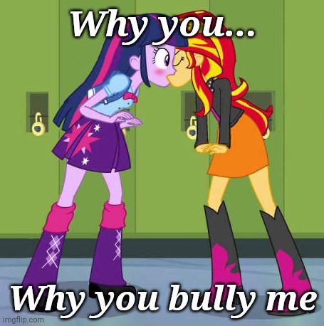 bruh wtf | Why you... Why you bully me | image tagged in twilight x sunset shimmer sexy,memes,equestria girls,sunset shimmer,twilight sparkle,my little pony | made w/ Imgflip meme maker