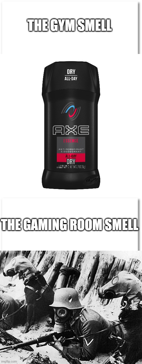 How it smells. | THE GYM SMELL; THE GAMING ROOM SMELL | image tagged in smell,memes,gaming,axe | made w/ Imgflip meme maker