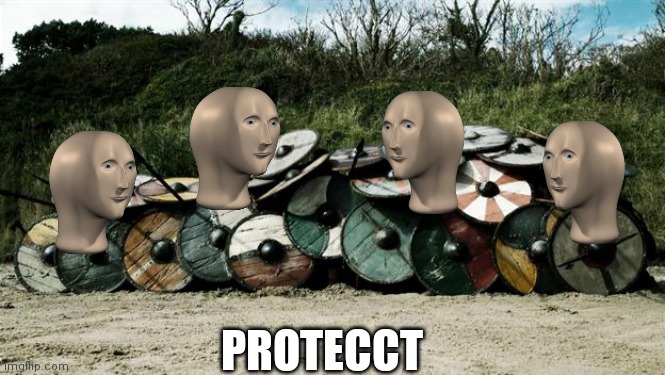 Shield Wall | PROTECCT | image tagged in shield wall | made w/ Imgflip meme maker