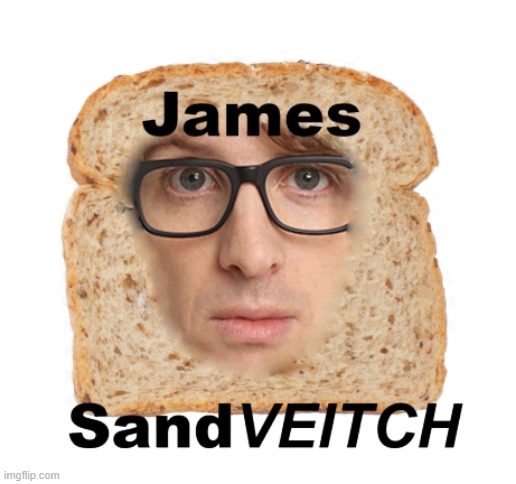 May I present to you... | image tagged in sandwich,jamesveitch | made w/ Imgflip meme maker