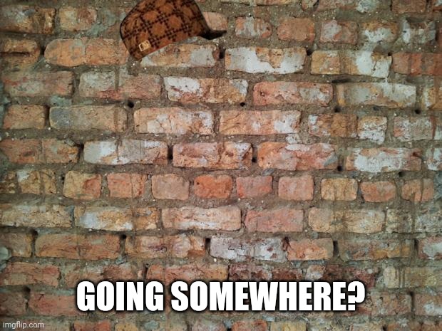 Brick wall | GOING SOMEWHERE? | image tagged in brick wall | made w/ Imgflip meme maker