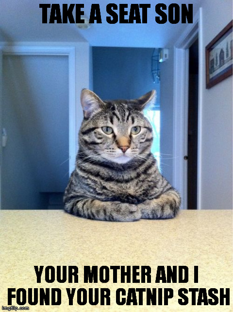 Take A Seat Cat Meme | image tagged in memes,take a seat cat | made w/ Imgflip meme maker