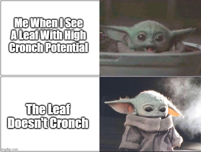 Baby Yoda happy then sad | Me When I See A Leaf With High Cronch Potential; The Leaf Doesn't Cronch | image tagged in baby yoda happy then sad | made w/ Imgflip meme maker
