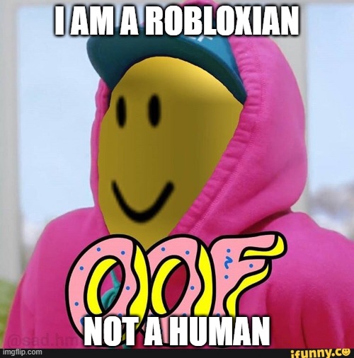 Roblox Oof | I AM A ROBLOXIAN; NOT A HUMAN | image tagged in roblox oof | made w/ Imgflip meme maker