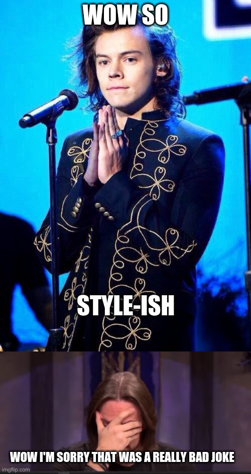 WOW SO; STYLE-ISH; WOW I'M SORRY THAT WAS A REALLY BAD JOKE | image tagged in harry styles,matthew mercer facepalm | made w/ Imgflip meme maker