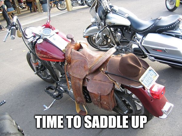 I need to get me one for my bike lol | TIME TO SADDLE UP | image tagged in harley davidson,motorcycle | made w/ Imgflip meme maker