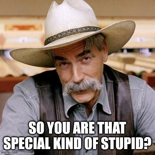 SARCASM COWBOY | SO YOU ARE THAT SPECIAL KIND OF STUPID? | image tagged in sarcasm cowboy | made w/ Imgflip meme maker