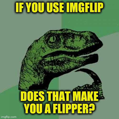 Hmm | IF YOU USE IMGFLIP; DOES THAT MAKE YOU A FLIPPER? | image tagged in memes,philosoraptor | made w/ Imgflip meme maker