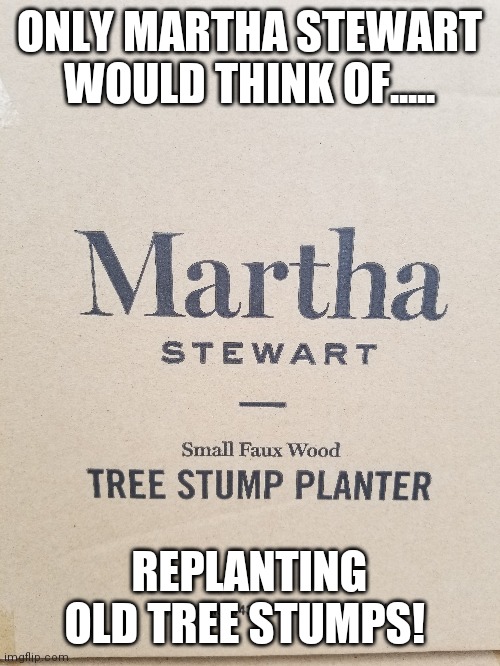 Fake wood wood planter? | ONLY MARTHA STEWART WOULD THINK OF..... REPLANTING OLD TREE STUMPS! | image tagged in memes,original meme,martha stewart,dank memes,satire,bad memes | made w/ Imgflip meme maker