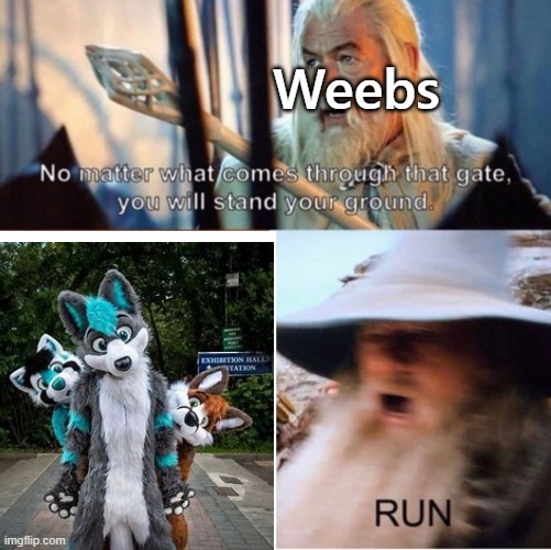 Furries are better than weebs | Weebs | image tagged in dank memes,run | made w/ Imgflip meme maker