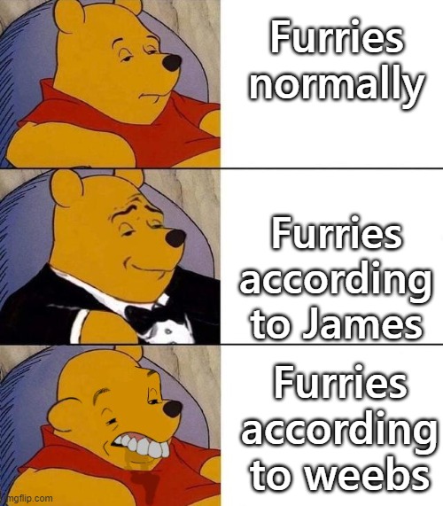 Best,Better, Blurst | Furries normally; Furries according to James; Furries according to weebs | image tagged in best better blurst | made w/ Imgflip meme maker