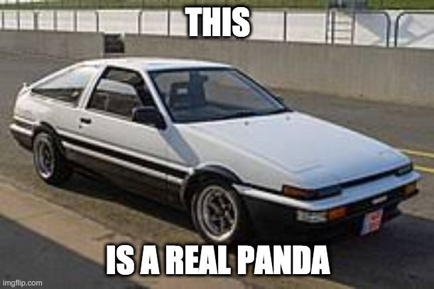 panda boi | THIS; IS A REAL PANDA | image tagged in initial d,toyota | made w/ Imgflip meme maker