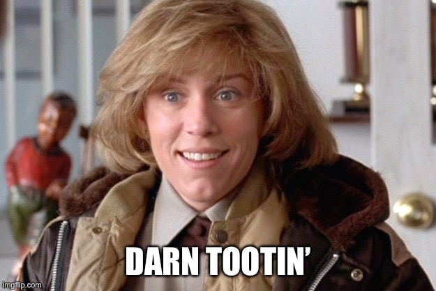 Fargo oh sure | DARN TOOTIN’ | image tagged in fargo oh sure | made w/ Imgflip meme maker
