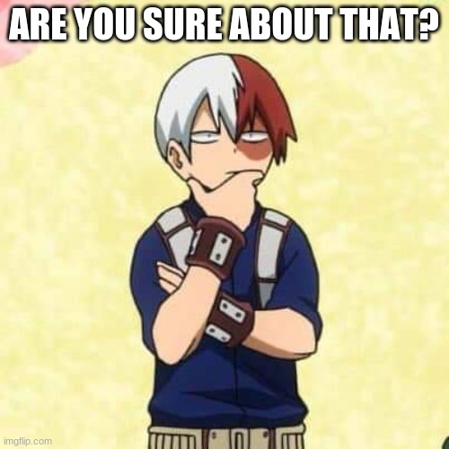 Análise Shoto | ARE YOU SURE ABOUT THAT? | image tagged in anlise shoto | made w/ Imgflip meme maker