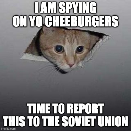 Ceiling Cat | I AM SPYING ON YO CHEEBURGERS; TIME TO REPORT THIS TO THE SOVIET UNION | image tagged in memes,ceiling cat | made w/ Imgflip meme maker