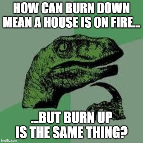 either way, your house is gone | HOW CAN BURN DOWN MEAN A HOUSE IS ON FIRE... ...BUT BURN UP IS THE SAME THING? | image tagged in dinosaur | made w/ Imgflip meme maker