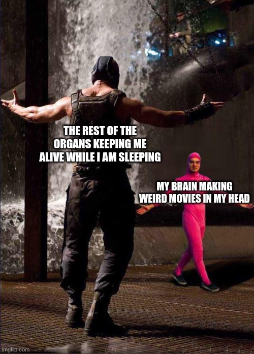 organs vs brain | THE REST OF THE ORGANS KEEPING ME ALIVE WHILE I AM SLEEPING; MY BRAIN MAKING WEIRD MOVIES IN MY HEAD | image tagged in pink guy vs bane | made w/ Imgflip meme maker