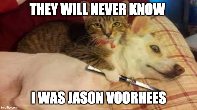Murder cat | THEY WILL NEVER KNOW; I WAS JASON VOORHEES | image tagged in funny cats | made w/ Imgflip meme maker
