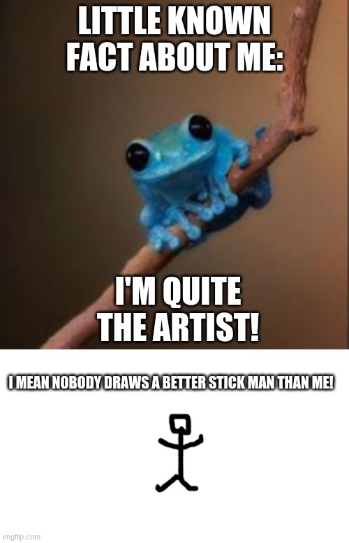 This is ART! | LITTLE KNOWN FACT ABOUT ME:; I'M QUITE THE ARTIST! I MEAN NOBODY DRAWS A BETTER STICK MAN THAN ME! | image tagged in fun fact frog,starter pack,memes,stick figure,stickman,art | made w/ Imgflip meme maker