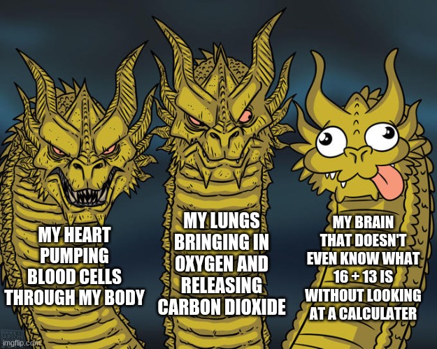 Heart lungs brain | MY HEART PUMPING BLOOD CELLS THROUGH MY BODY; MY BRAIN THAT DOESN'T EVEN KNOW WHAT 16 + 13 IS WITHOUT LOOKING AT A CALCULATER; MY LUNGS BRINGING IN OXYGEN AND RELEASING CARBON DIOXIDE | image tagged in three-headed dragon,brain,heart | made w/ Imgflip meme maker