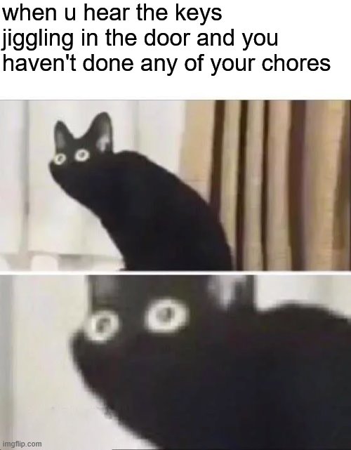 Oh No Black Cat |  when u hear the keys jiggling in the door and you haven't done any of your chores | image tagged in oh no black cat | made w/ Imgflip meme maker