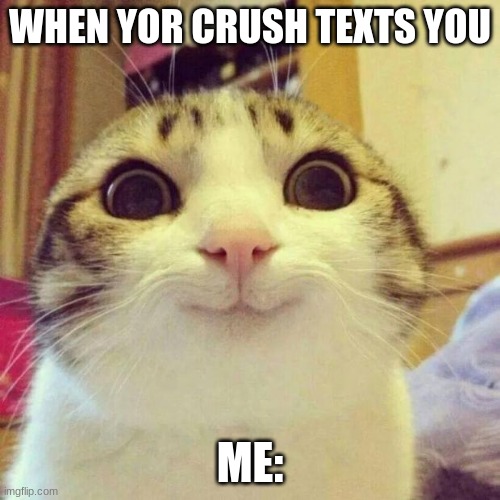 Smiling Cat Meme | WHEN YOR CRUSH TEXTS YOU; ME: | image tagged in memes,smiling cat | made w/ Imgflip meme maker