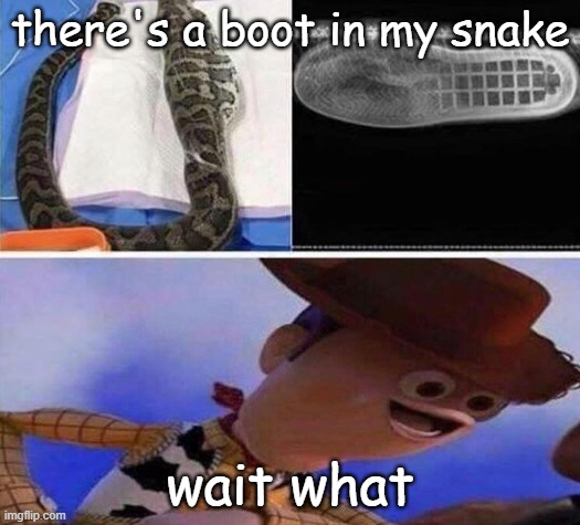there's a boot in my snake | there's a boot in my snake; wait what | image tagged in woody,snake | made w/ Imgflip meme maker