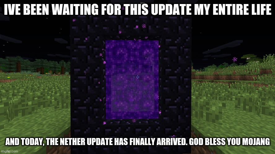 1.16 nether update | IVE BEEN WAITING FOR THIS UPDATE MY ENTIRE LIFE; AND TODAY, THE NETHER UPDATE HAS FINALLY ARRIVED. GOD BLESS YOU MOJANG | image tagged in nether portal,update,minecraft | made w/ Imgflip meme maker