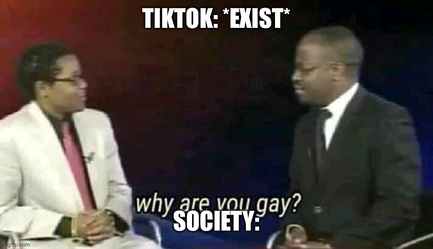 Why are you gay? | TIKTOK: *EXIST*; SOCIETY: | image tagged in why are you gay,tiktok | made w/ Imgflip meme maker