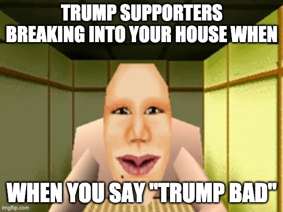 dondal trump is a poop butt and a tyrant | TRUMP SUPPORTERS BREAKING INTO YOUR HOUSE WHEN; WHEN YOU SAY "TRUMP BAD" | image tagged in lsd dream emulator,trump,trump bad | made w/ Imgflip meme maker