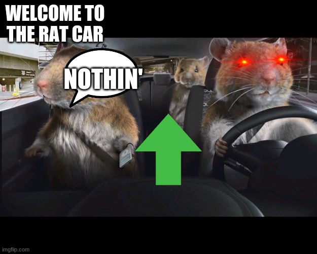 The Rat Car | WELCOME TO THE RAT CAR; NOTHIN' | image tagged in rats driving,the rat car | made w/ Imgflip meme maker