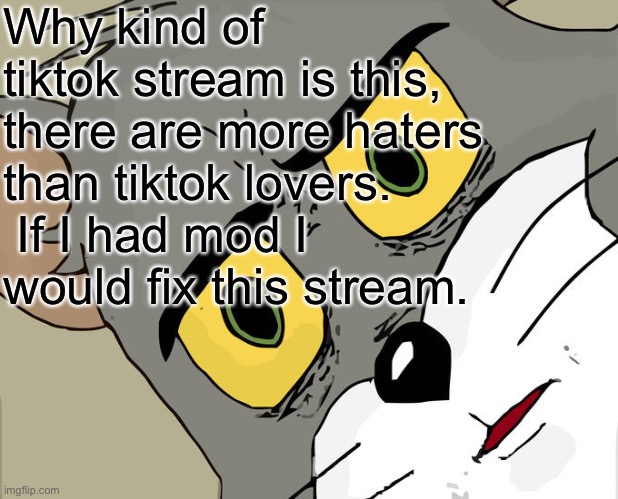Unsettled Tom Meme | Why kind of tiktok stream is this, there are more haters than tiktok lovers.  If I had mod I would fix this stream. | image tagged in memes,unsettled tom | made w/ Imgflip meme maker